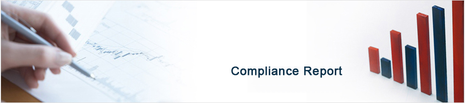 financial annual reports